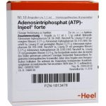 Adenosintriphosphat (ATP)-Injeel® forte Ampullen