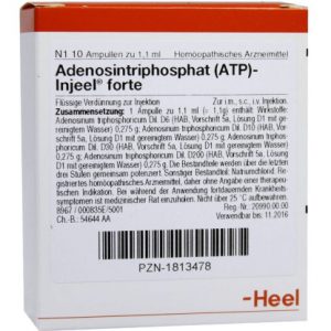 Adenosintriphosphat (ATP)-Injeel® forte Ampullen