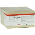 Adeps suillus-Injeel® Ampullen