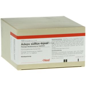 Adeps suillus-Injeel® Ampullen