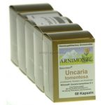 ARNIMONT Bärenstein® Uncaria Tomentosa