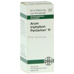 Arum Triphyllum Pentarkan H Dilution