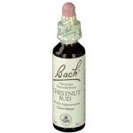 BACH®-BLÜTE CHESTNUD BUD (Kastanienknospe)