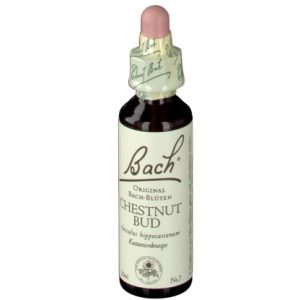 BACH®-BLÜTE CHESTNUD BUD (Kastanienknospe)