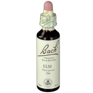 BACH®-BLÜTE ELM (Ulme)