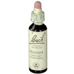 BACH®-BLÜTE HEATHER (Schottisches Heidekraut)