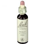 BACH®-BLÜTE HOLLY (Stechpalme)