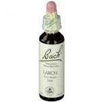 BACH®-BLÜTE LARCH (Lärche)