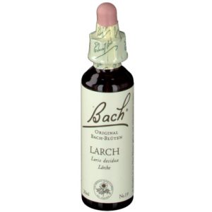 BACH®-BLÜTE LARCH (Lärche)