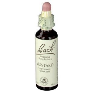 BACH®-BLÜTE MUSTARD (Wilder Senf)