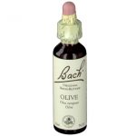 BACH®-BLÜTE OLIVE (Olive)