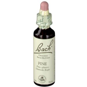 BACH®-BLÜTE PINE (Schottische Kiefer)