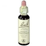 BACH®-BLÜTE SWEET CHESTNUT (Esskastanie)