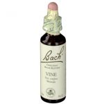 BACH®-BLÜTE VINE (Weinrebe)