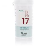Biochemie Pflüger® Nr. 17 Manganum sulfuricum D6 Tabletten