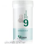 Biochemie Pflüger® Nr. 9 Natrium phosphoricum D6 Tabletten