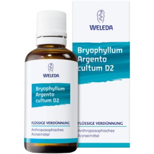 Bryophyllum Argento Cultum Dilution D 2