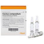 Cactus compositum Ampullen