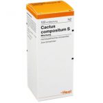 Cactus compositum S Mischung