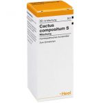 Cactus compositum S Mischung