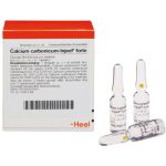 Calcium carbonicum-Injeel® forte Ampullen