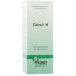 Calculi H