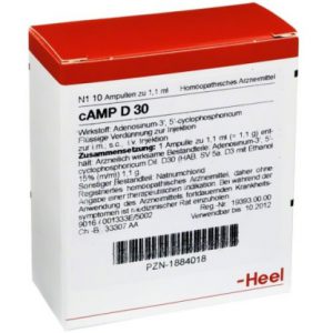 cAMP D30 Ampullen