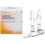 Cantharis compositum S Ampullen