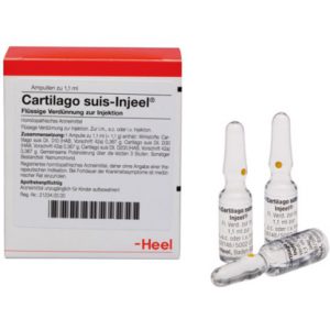Cartilago suis-Injeel® Ampullen