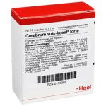 Cerebrum suis-Injeel® forte Ampullen
