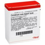 Cerebrum suis-Injeel® forte Ampullen