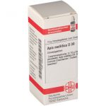 DHU Apis mellifica D30 Globuli