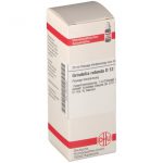 DHU Grindelia robusta D12 Dilution