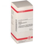 DHU Kalium phosphoricum D4 Tabletten