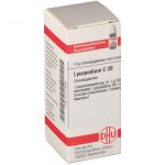DHU Lycopodium C30 Globuli