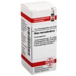 DHU Rhus toxicodendron D30 Globuli
