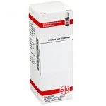 DHU Solidago virgaurea Urtinktur