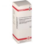 DHU Syzygium jambolanum D10 Dilution