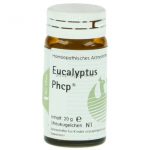 Eucalyptus Phcp®