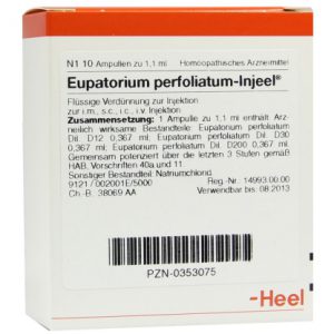 Eupatorium perfoliatum-Injeel® Ampullen