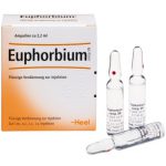 Euphorbium comp. SN Ampullen