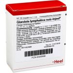 Glandula lymphatica suis-Injeel® Ampullen