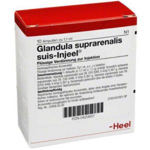 Glandula suprarenalis suis-Injeel® Ampullen