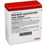 Glandula suprarenalis suis-Injeel® Ampullen