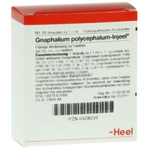 Gnaphalium polycephalum-Injeel® Ampullen
