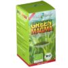 Green Magma Gerstengrasextrakt Pulver