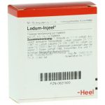 Ledum Injeel® Ampullen