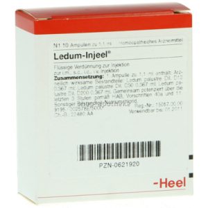 Ledum Injeel® Ampullen