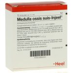 Medulla ossis suis-Injeel® Ampullen