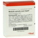 Medulla spinalis suis-Injeel® Ampullen